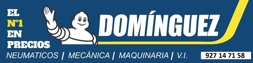 Logo Naumáticos Domínguez